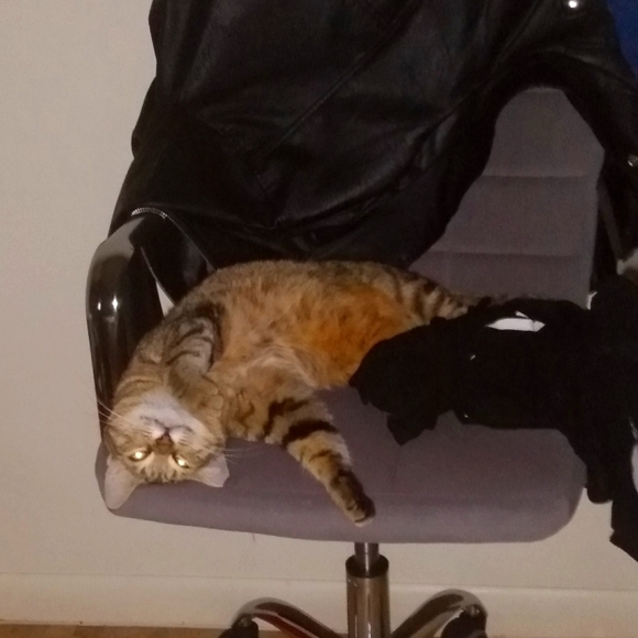 Meet your Posher, Karena - Picture 1 of 3